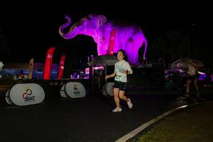 BIB: 
                            <button type="button" onclick="openModal(26535281)" class="btn btn-primary btn-sm float-right btn-popup" data-toggle="modal" data-target=".modal-high-quality">
                        <i class="fas fa-shopping-cart"></i> Add to Cart
                    </button>
                                            <button type="button" onclick="isThisMe(26535281, true)" class="btn btn-success btn-sm float-right btn-popup btn-isme hidden" data-toggle="tooltip" data-placement="bottom" title="นี่คือรูปของคุณใช่ไหม คลิกที่นี่เพื่อเอาเข้าอัลบั้ม">
                        <i class="fas fa-plus"></i> Add to album
                    </button>
                    <button type="button" onclick="isThisMe(26535281, false)" class="btn btn-warning btn-sm float-right btn-popup btn-isnotme hidden">
                        <i class="fas fa-ban"></i> Remove from album
                    </button>